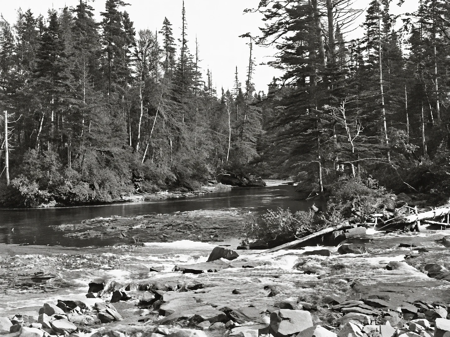 River bordered by forest near Sept-Îles